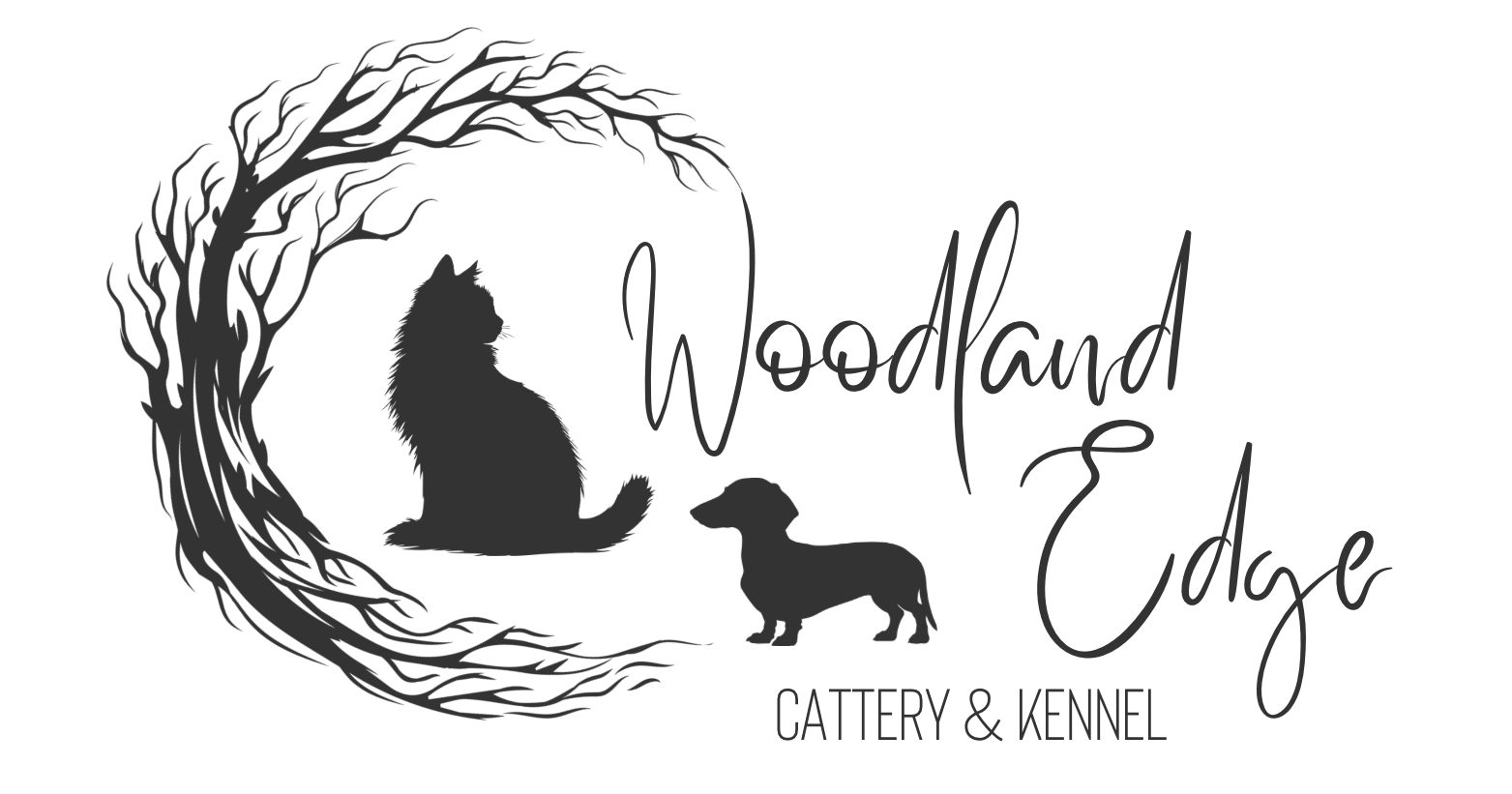 Woodland Edge Maine Coon Cats & Dachshunds